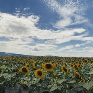 Z Uherského Hradiště 🚴‍♂️ podél Moravy přes Veselí, a pak hurá do kopců – až na Javořinu 🌲. A zpátky? S hlavou plnou...